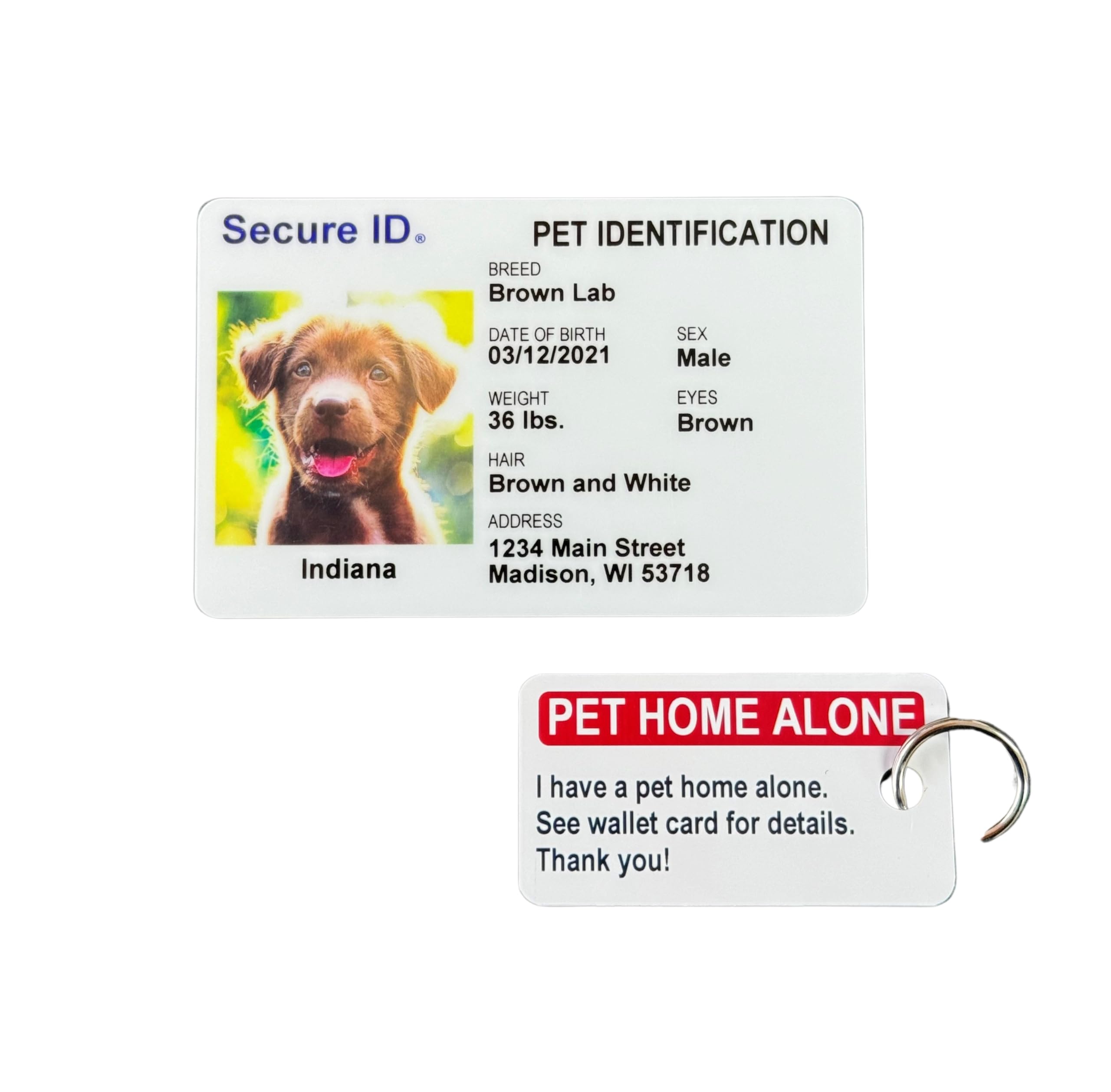 Identificación de mascotas